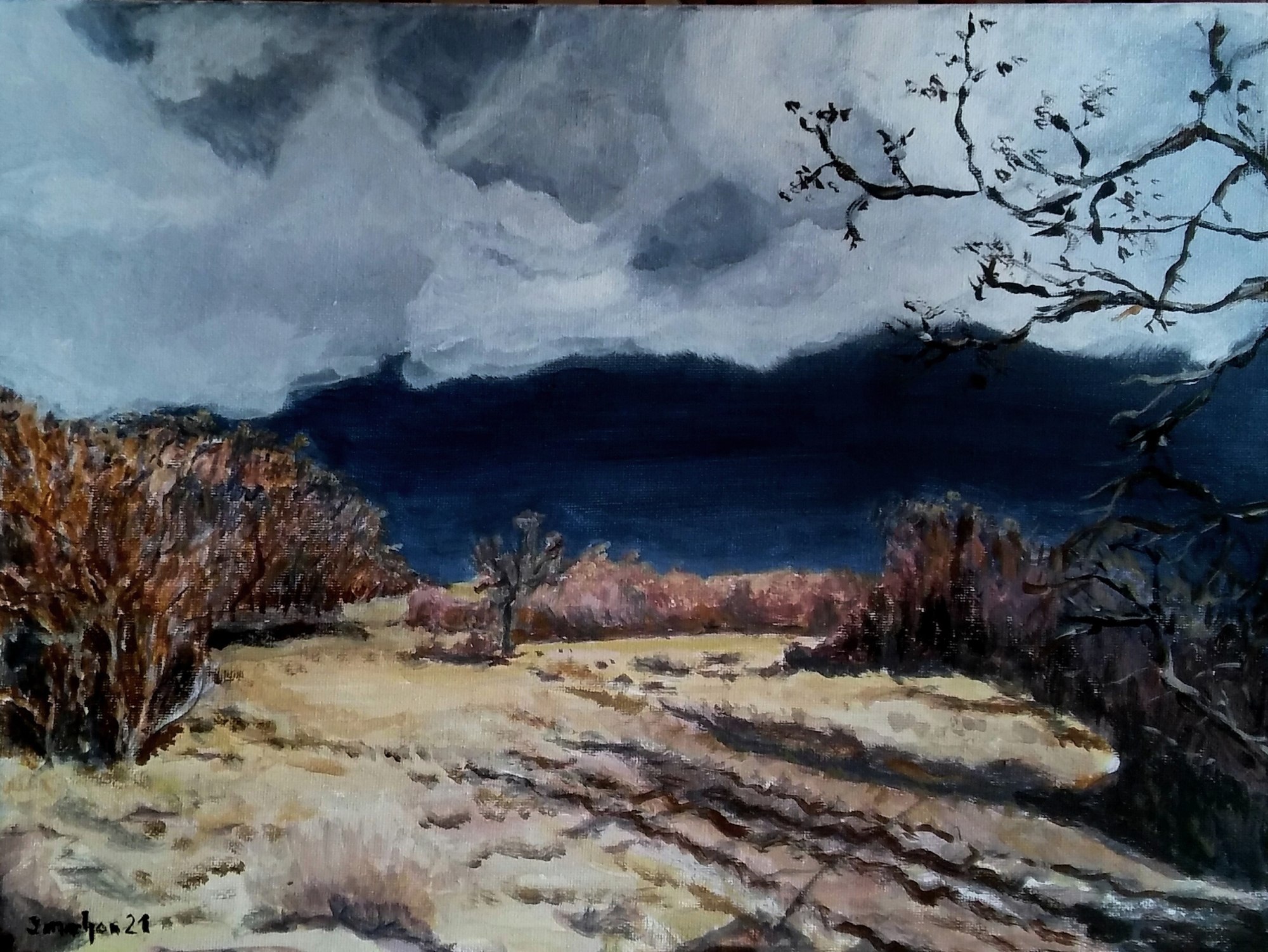 before the storm